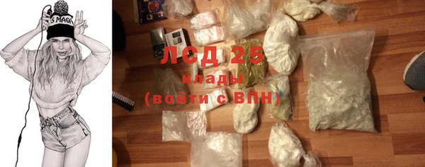 дживик Верхний Тагил