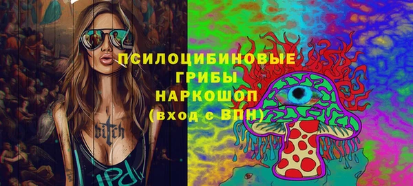 дживик Верхний Тагил